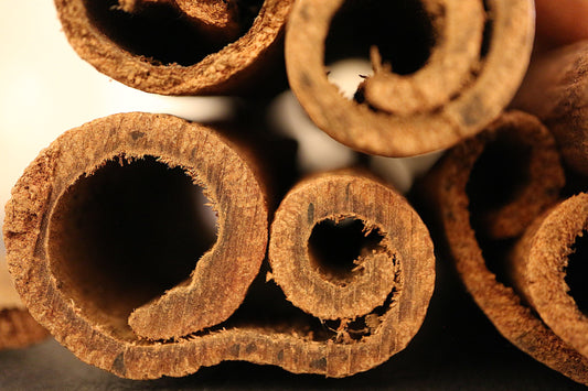 bâtons de cannelle cassia vue macro