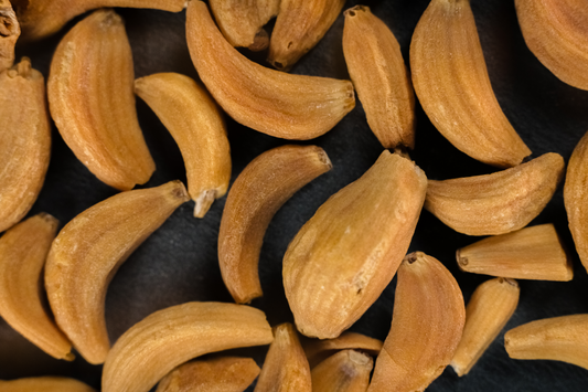 Gousses d'ail séchées