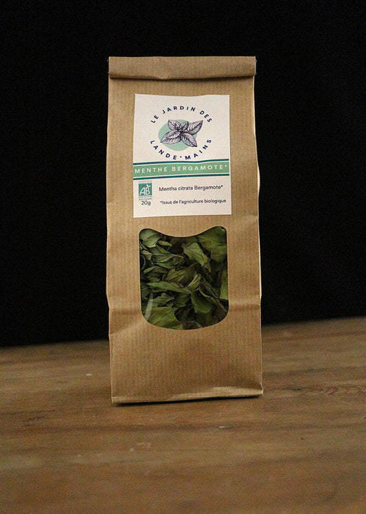Menthe bergamote