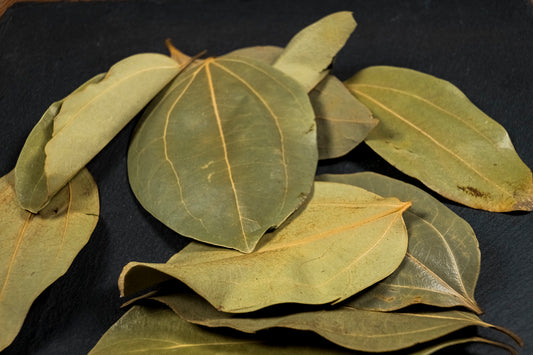 Feuilles de cannelle séchées