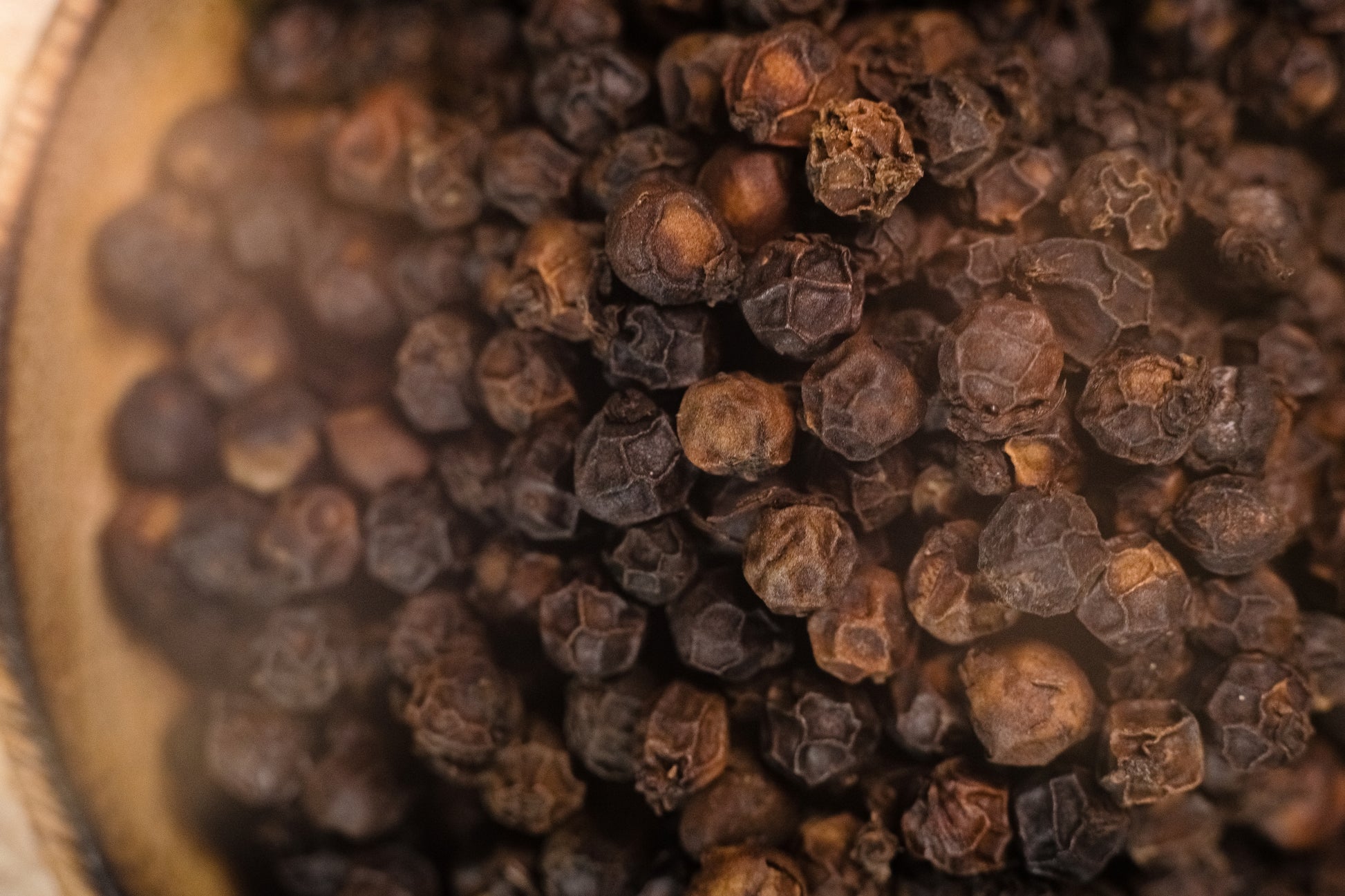 Poivre noir de Tellicherry cultivé en Inde (Kerala)